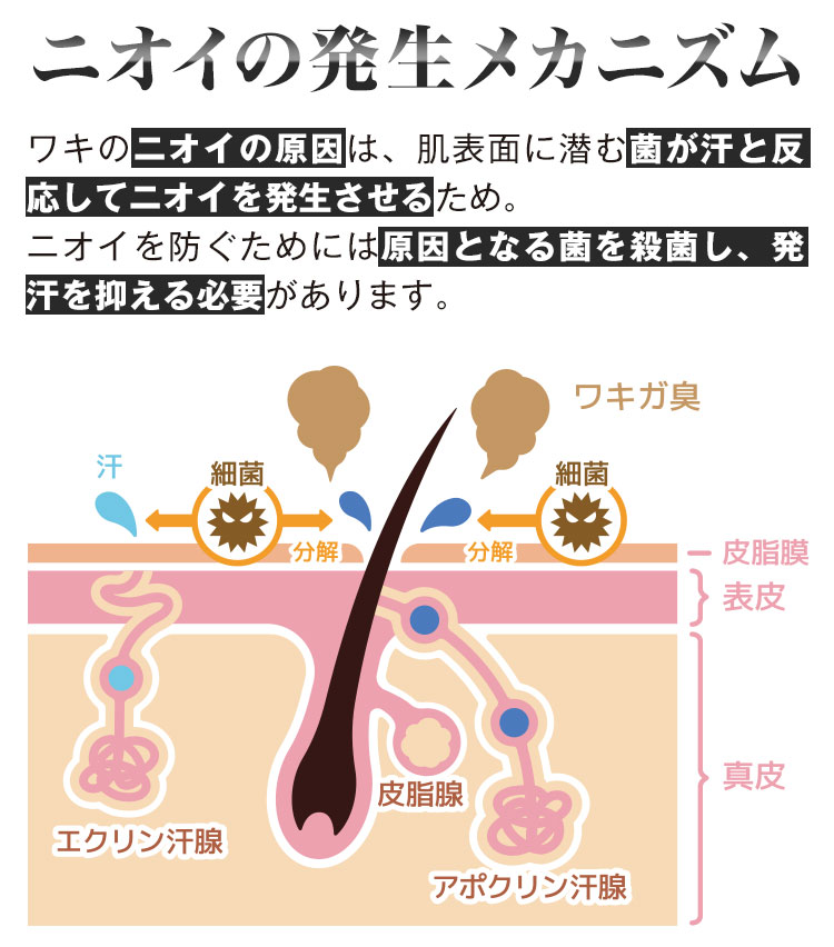 ニオイの発生メカニズム