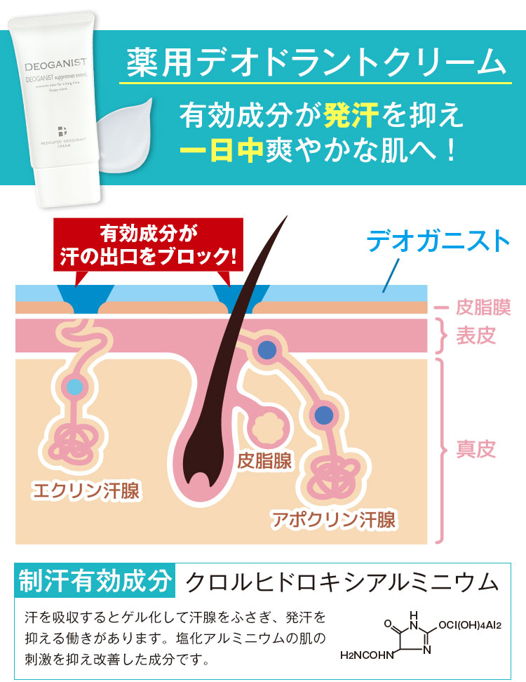 有効成分が発汗を抑え一日中爽やかな肌へ！